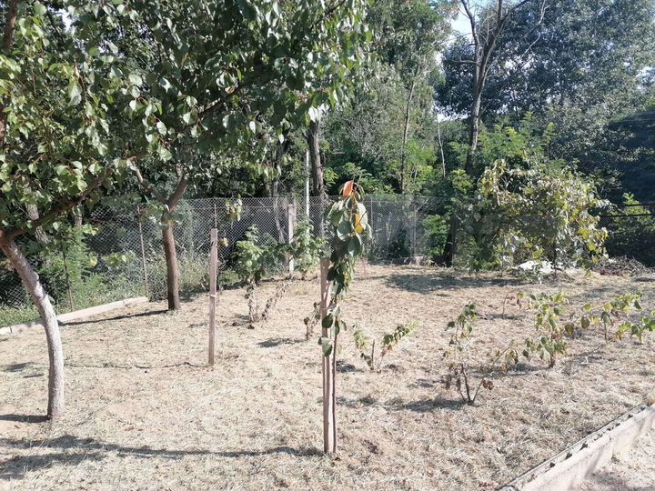 Дом 126,8 м² на участке 6 сот.