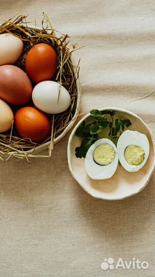 Домашние куриные яйца