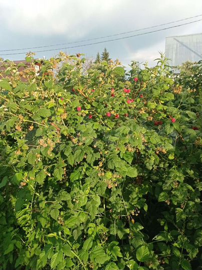 Дача 30 м² на участке 7,5 сот.