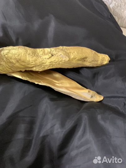 Шкатулка для украшений устрица