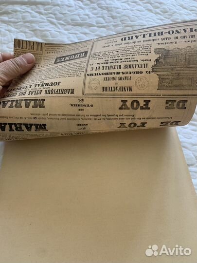 Эдуар де Бомон литография карикатура 1850