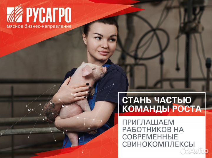 Работник на свиноферму (Тамбов) питание 2х/ жилье