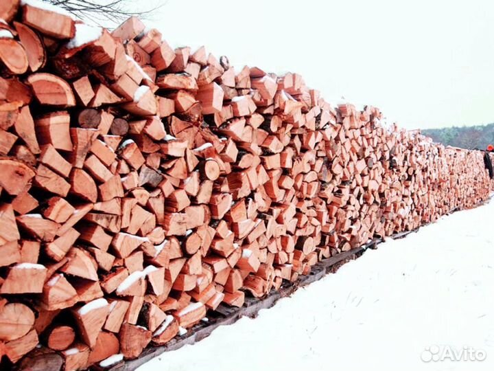 Дрова осиновые