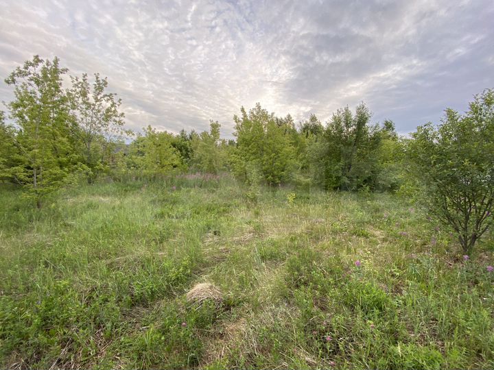 Участок 45 сот. (СНТ, ДНП)