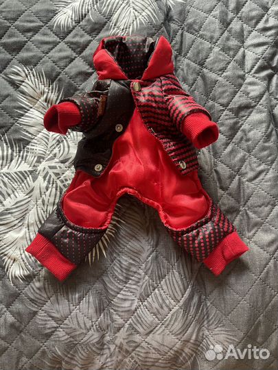 Комбинезондля щенков мелких пород