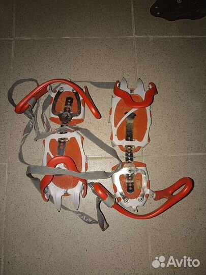 Кошки Camp Stalker