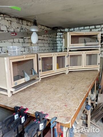 Продажа, Брудеров, Клеток для перепелов