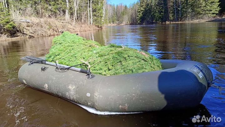 Пихтовые веники для бани