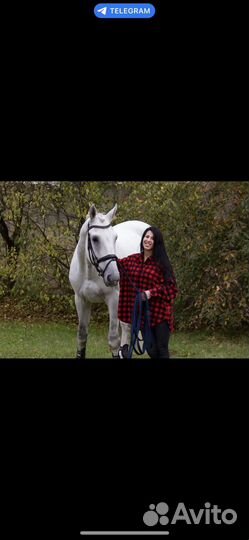 Обучение верховой езде