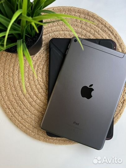 iPad Mini 5 64gb Wi-Fi & Cellular рст