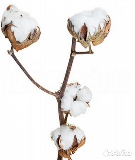 Хлопок в упаковке