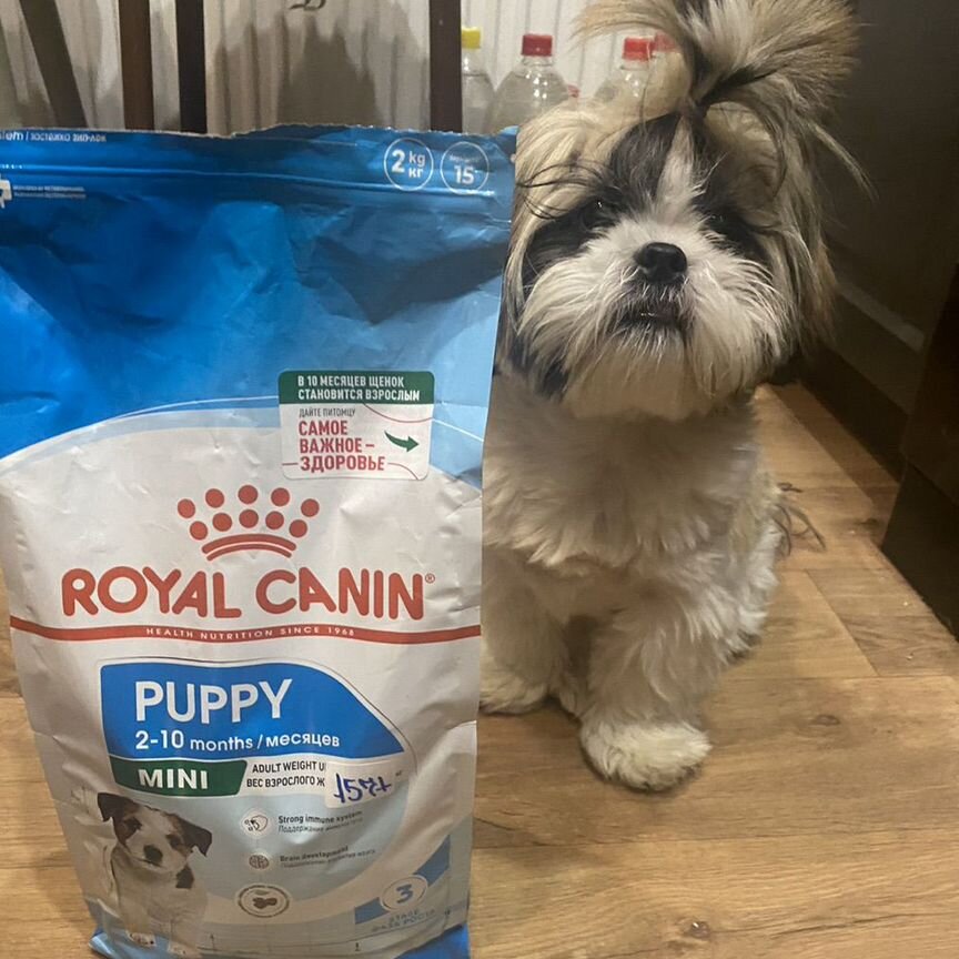 Корм для собак royal canin