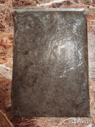 Артемия, Стрептоцефал, Мотыль, Дафния (заморозка)