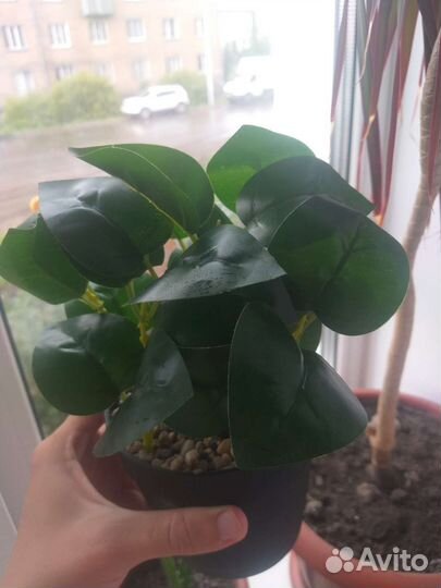 Декорация в горшочке из fix price