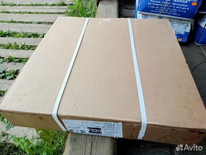 Сельдь атлантическая свежемороженая. Мурманск