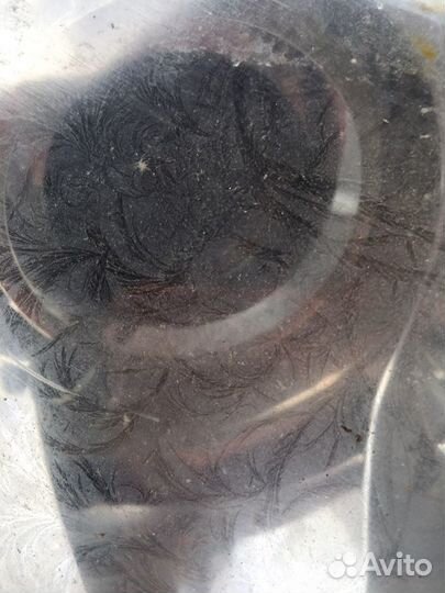 Фара передняя правая Geely Emgrand (1635)