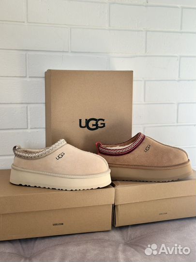 Угги Ugg tazz tasman