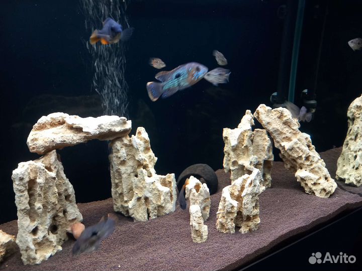 Песчаник камень украшение грот