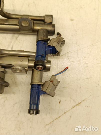 Форсунка топливная Subaru Legacy BL5 EJ204