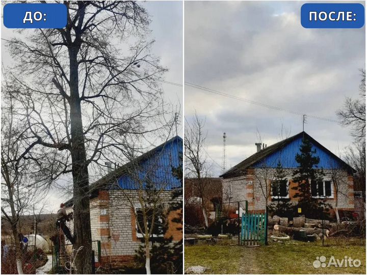 Спиливание деревьев, удаление и валка