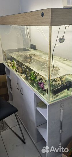 Аквариум с черепашками