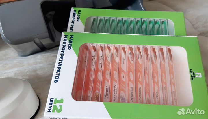 Микроскоп детский школьный + микропрепараты, 4 уп