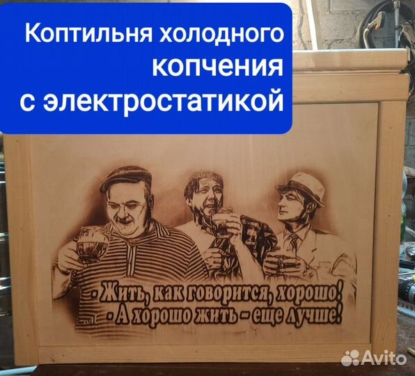 Коптильня холодного копчения с электростатикой 12