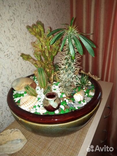 Горшок для флорариума, для бонсай