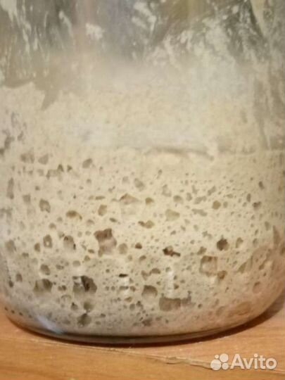 Ржаная закваска