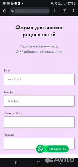 Родословные для собак BIS