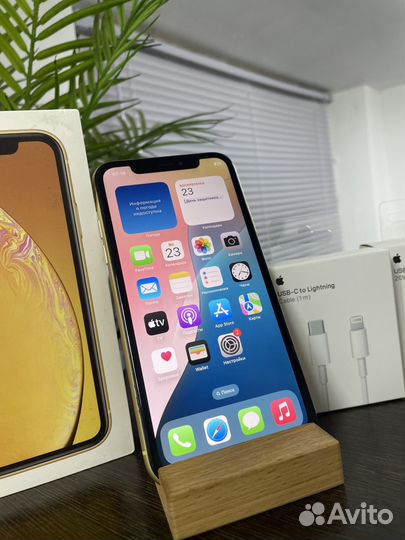 iPhone Xr, 64 ГБ