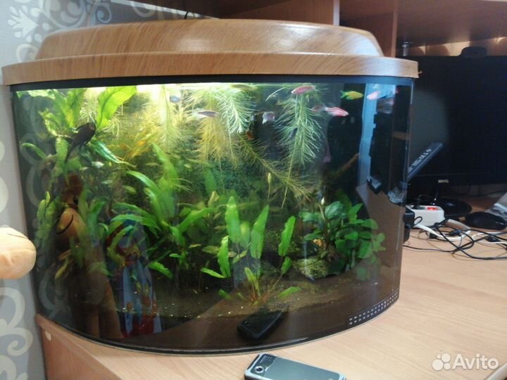 Аквариум