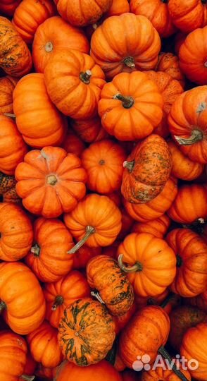 Вахта от 15 смен Чапаевск