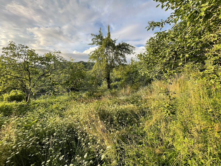 Участок 15 га (ИЖС)