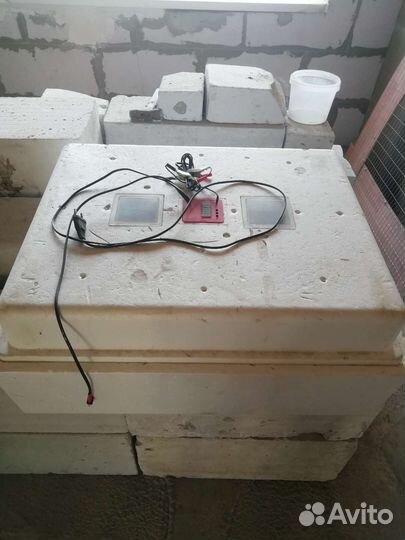 Инкубатор для яиц автоматический бу
