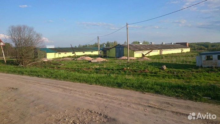 Фермерские хозяйство