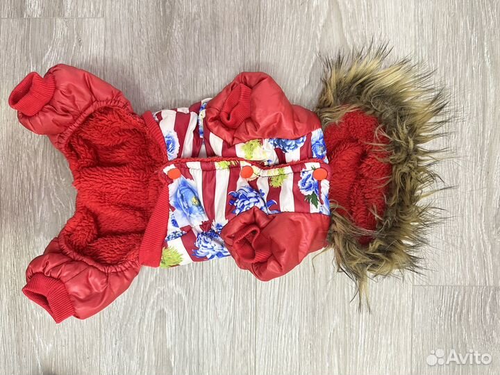 Одежда для маленьких собак