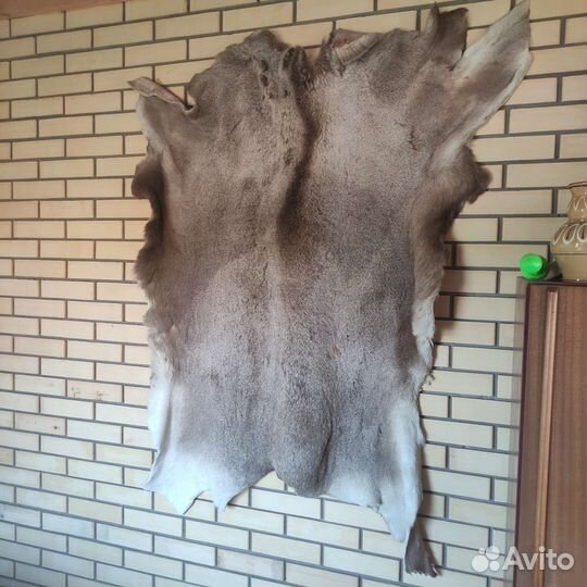 Шкура лося