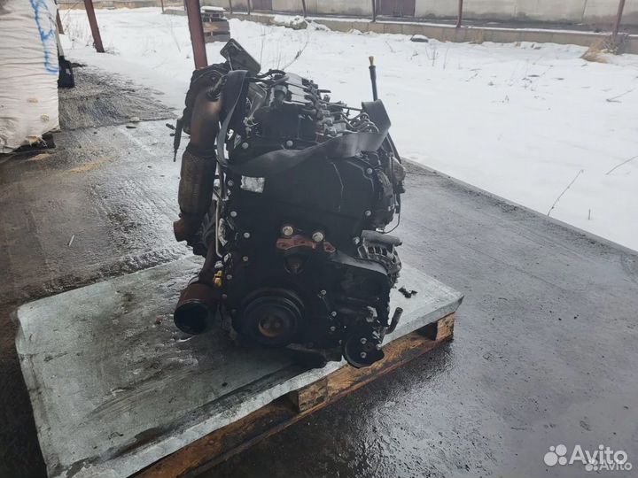 Двигатель (двс) Ford Transit drfb 2.2