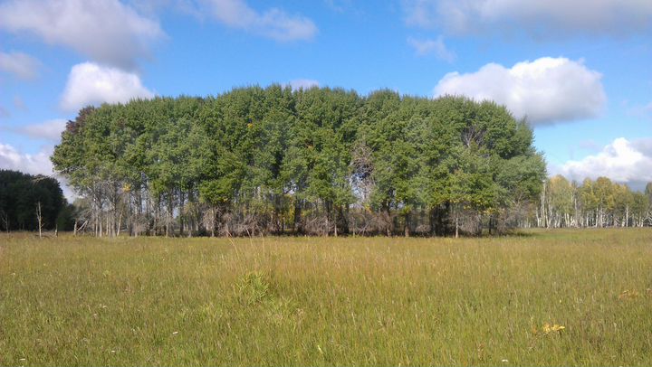 Участок 2,32 га (СНТ, ДНП)