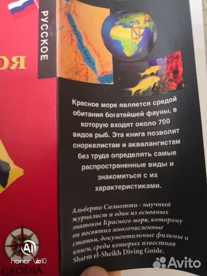Рыбы Красного моря