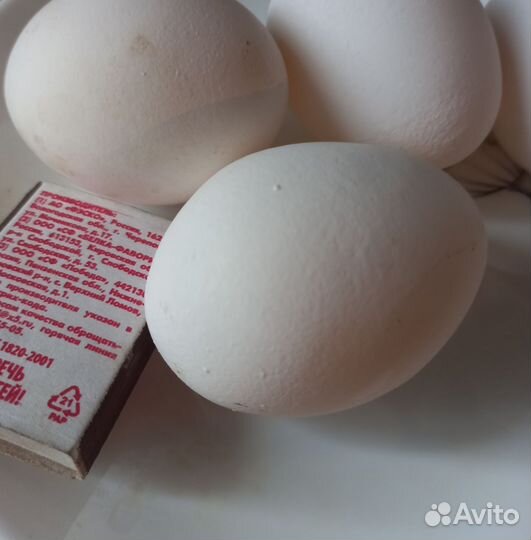 Молочные продукты с доставкой