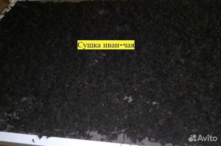 Чага-чай, чага с иван-чаем