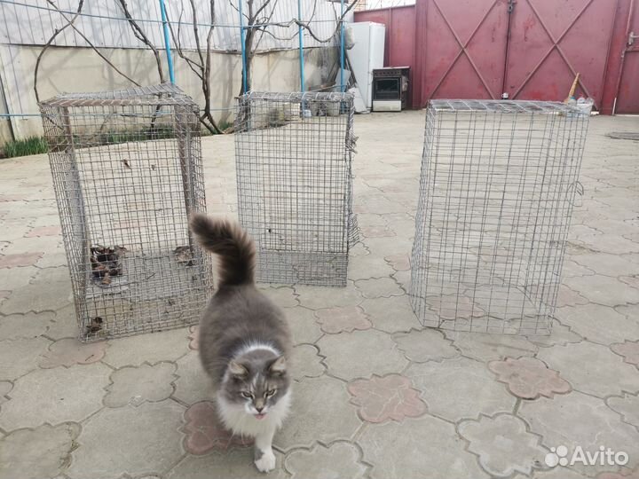 Клетка для животных бу