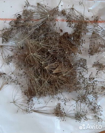 Укроп, Кинза, Петрушка. Семена