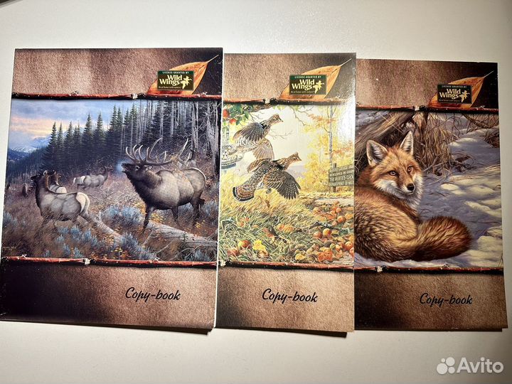 Тетради от 18 до 48 листов, линейка и клетка