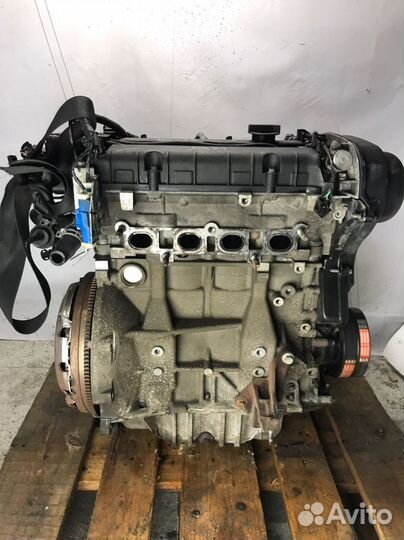 Двигатель Ford Focus 2 1.6 л 100 лс hxdb