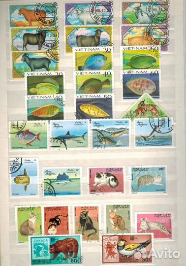 Марки и вкладыши