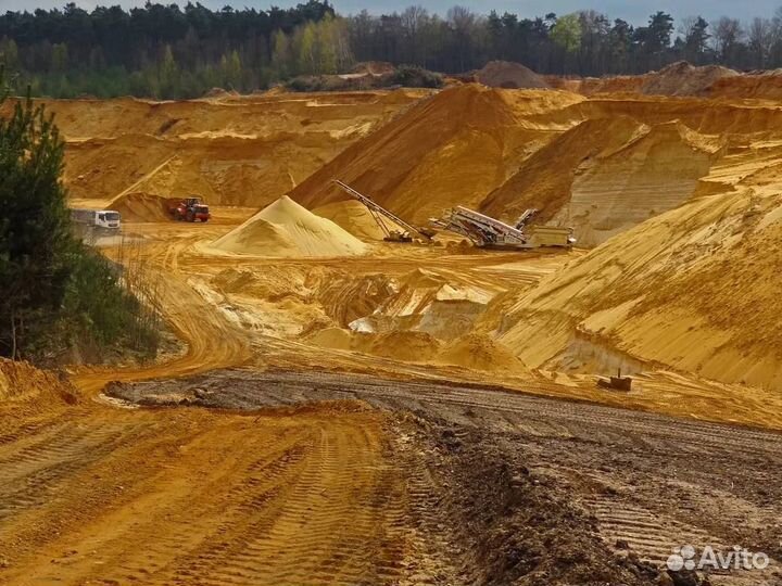 Строительный песок тараканом