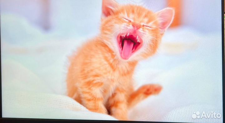 Монитор 144гц 165гц 200гц 27